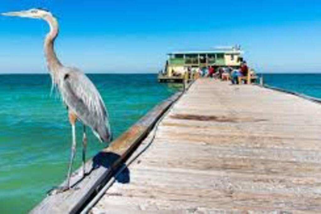 Waterview Oasis Retreat, Minutes To Anna Maria Island And Img Apartment Брадентън Екстериор снимка