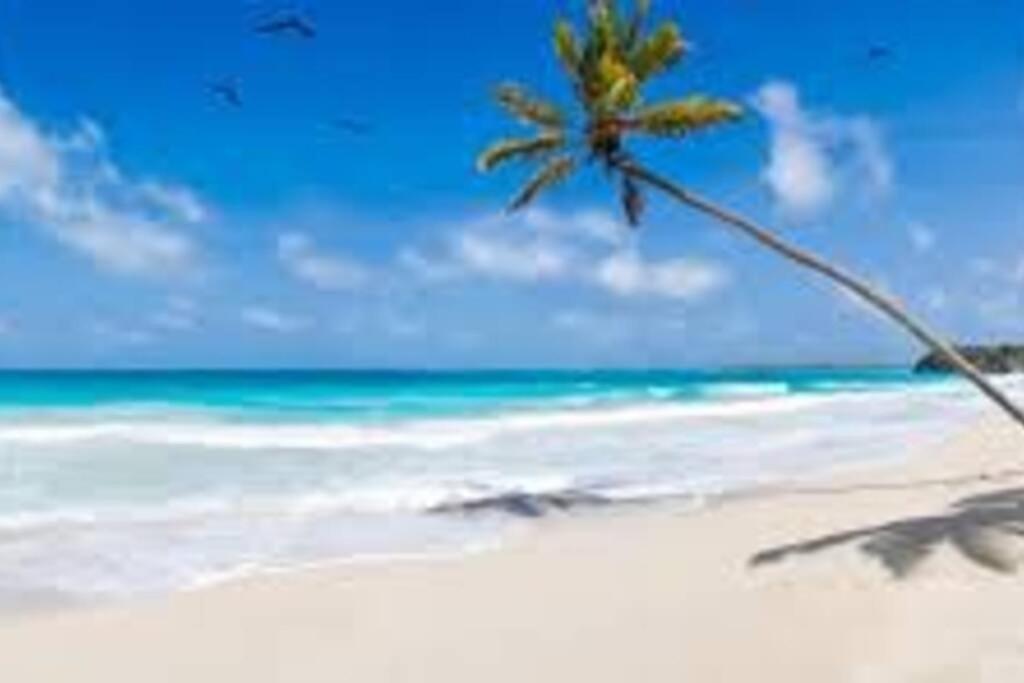 Waterview Oasis Retreat, Minutes To Anna Maria Island And Img Apartment Брадентън Екстериор снимка